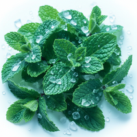 Menthol