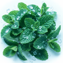 Cooling Menthol